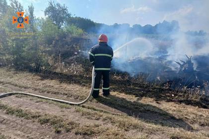 Минулої доби рятувальники Вінниччини ліквідували 14 пожеж 