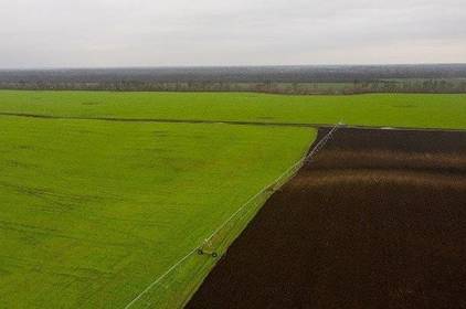 На Вінниччині фермер здав в оренду землю, яку сам раніше орендував