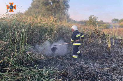 Вогонь обпалив понад 4 га ґрунту: вінницькі рятувальники минулої доби погасили 9 пожеж