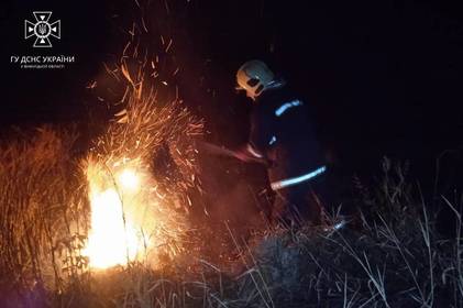 Вогонь обпалив 16 га ґрунту: минулої доби рятувальники погасили 30 пожеж

