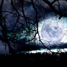 Media 3a7cfd0352f3216edf6b271cb376e981