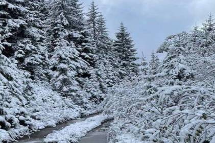 Засніжені Карпати: гору  Піп Іван засипало снігом (фото)