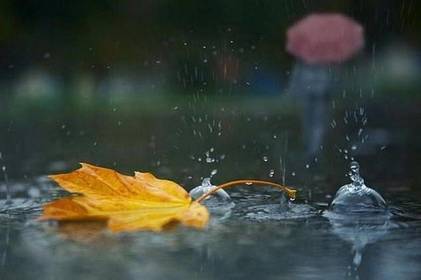 Погода у Вінниці сьогодні, 25 жовтня: дощ та прохолода