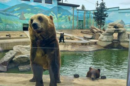 У Вінниці Подільський зоопарк переходить на новий графік роботи: подробиці