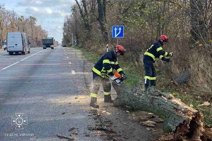 На Вінниччині рятувальники прибрали з автошляху повалене дерево