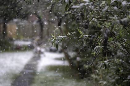 Погода у Вінниці 22 листопада: хмарно та мокрий сніг