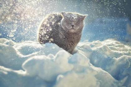Коли в Україні вщухнуть потужні снігопади: синоптикиня назвала дату