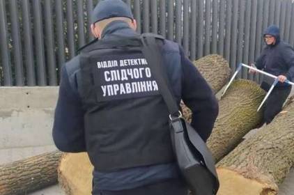 На Вінниччині затримали злочинну групу, яка незаконно вирубала «дуб» на 1 млн грн