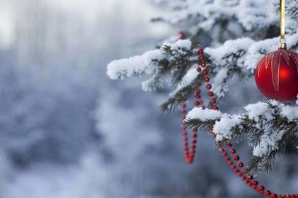 Погода у Вінниці на 31 грудня: чи буде сніг в останній день року