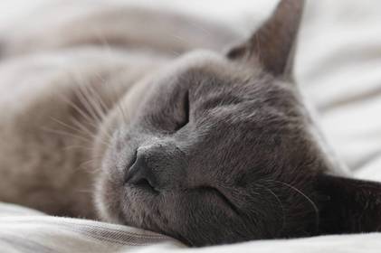 Наслідки недостатнього сну та їх вплив на функціонування організму людини
