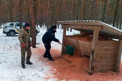 Тепле серце серед холоду: поліцейський з Білоцерківщини допомагає диким звірам під час морозів та негоди