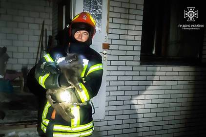 На Вінниччині рятувальники погасили 5 пожеж та врятували кота