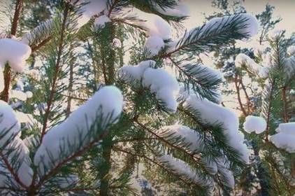 Погода у Вінниці 17 січня: мінлива хмарність, без опадів