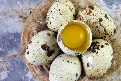 Чим корисні перепелині яйця та як їх найкраще приготувати?