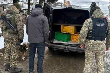 Прикордонники попередили чергову спробу незаконного перетину кордону: деталі