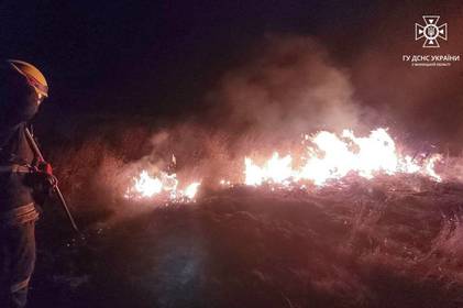 На Вінниччині відбулася пожежа в екосистемі: подробиці