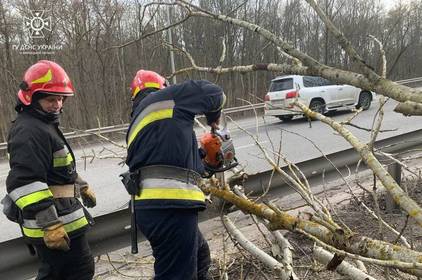 Вінницькі рятувальники прибрали повалені дерева з автошляхів