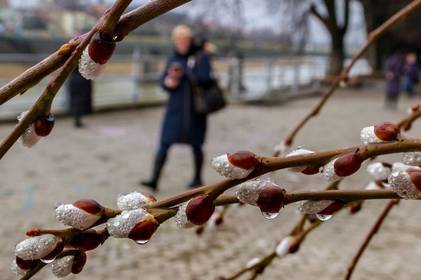 Погода у березні: чого слід очікувати українцям