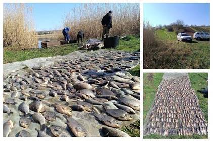 На Вінниччині затримали браконьєрів, які незаконно наловили риби на понад мільйон гривень