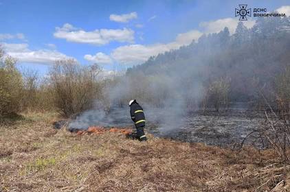 Рятувальники Вінниччини ліквідували 8 пожеж в природних екосистемах