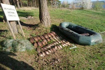 На Вінниччині рибалка завдав збитків державі більше ніж на 120 тисяч гривень