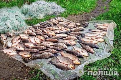 Понад 400 кг риби незаконно виловили на Вінниччині: подробиці порушень