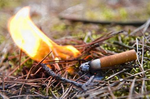 На Вінниччині через необережне куріння у пожежі загинув чоловік