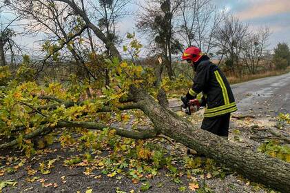 На Вінниччині через сильний вітер дерево впало на дорогу На Вінниччині через сильний вітер дерево впало на дорогу