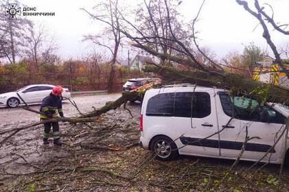На Вінниччині вітер повалив дерева, одне впало на авто На Вінниччині вітер повалив дерева, одне впало на авто