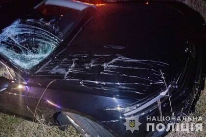 На Вінниччині велосипедист потрапив під колеса авто: що відомо про його стан
На Вінниччині велосипедист потрапив під колеса авто: що відомо про його стан
