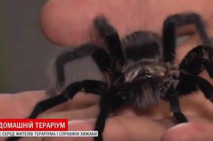 Вінничанин перетворив квартиру на міні-тераріум Вінничанин перетворив квартиру на міні-тераріум