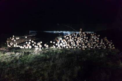 На Вінниччині лісника затримали на хабарі за незаконний продаж сосон На Вінниччині лісника затримали на хабарі за незаконний продаж сосон