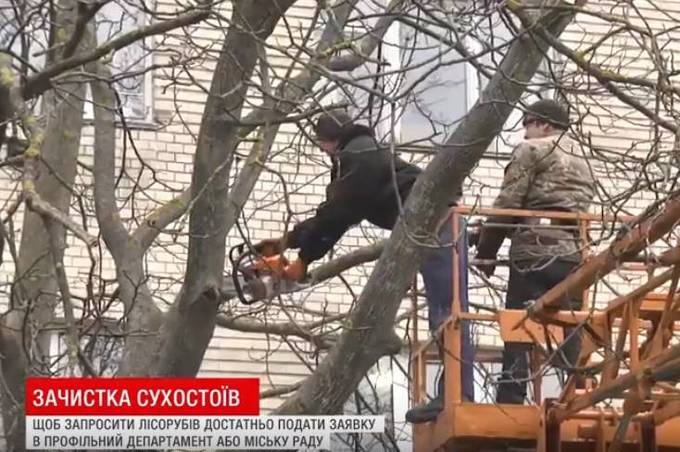 Вінницькі комунальники зачищають аварійні дерева