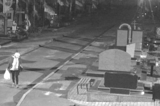 У Вінниці затримали жінку, яка викрала речі з могили військового з позивним «Грінка» (відео)