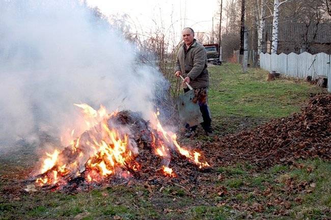 Упродовж останніх двох місяців у Вінниці оштрафували десятки паліїв сухостою