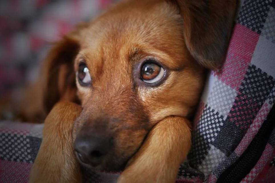 Якою буде погода на Вінниччині у понеділок та вівторок, 28-29 квітня: прогноз