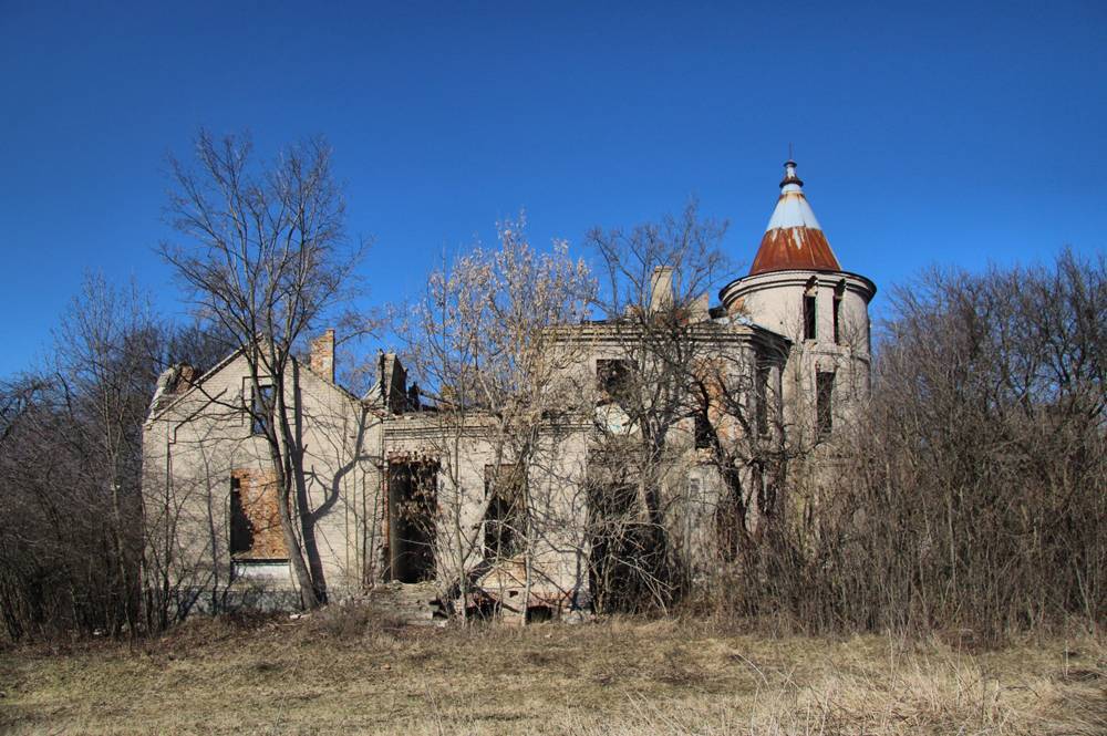 На Вінниччині в хащах виявили руїни забутого палацу (фото)