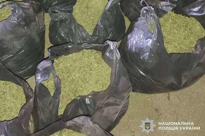 Майже 10 років проведе за ґратами житель Вінниччини, який зберігав 47 кг канабісу

