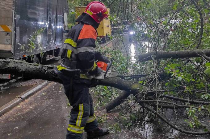 Внаслідок негоди падали дерева на Вінниччині (фото)