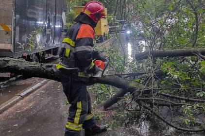 Внаслідок негоди падали дерева на Вінниччині (фото)