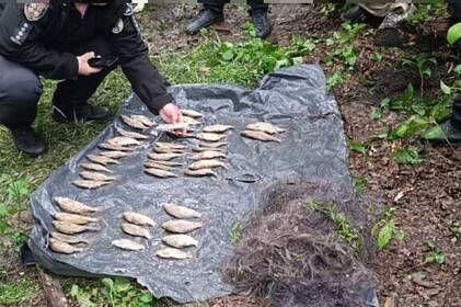 Браконьєр на Вінниччині виловив риби на понад 72 тисячі гривень