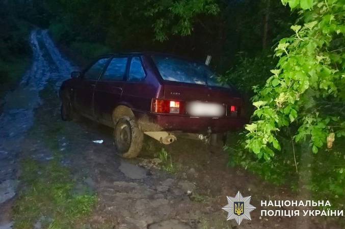 Викрадення як у фільмі не вийшло: автокрадія зупинило болото