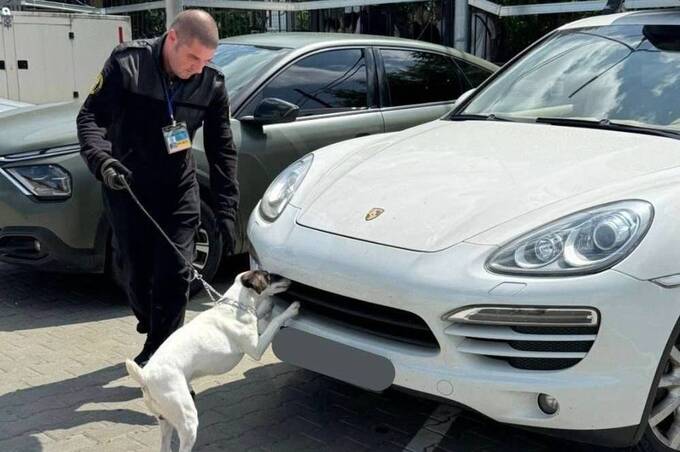Сховав у Porsche — не врятувало: на Вінниччині митники зірвали спробу наркоконтрабанди
