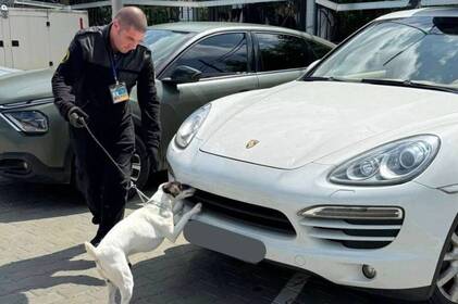 Сховав у Porsche — не врятувало: на Вінниччині митники зірвали спробу наркоконтрабанди