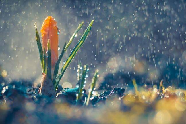 У перший день весни вінницькі синоптики прогнозують опади та "плюсову" температуру