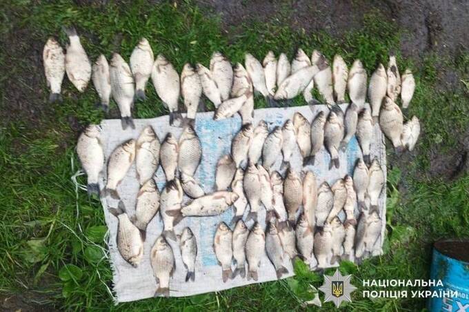 Полювання на браконьєрів: на Вінниччині виявили сотні порушень і тонни незаконної риби
