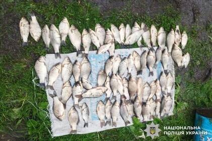 Полювання на браконьєрів: на Вінниччині виявили сотні порушень і тонни незаконної риби