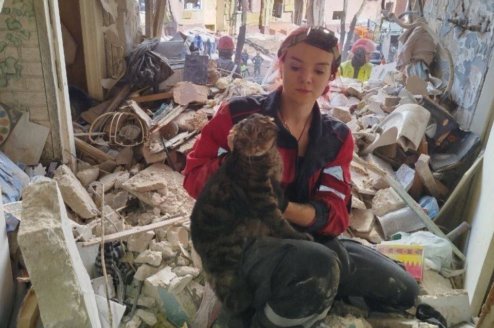 У пастці під бетонними уламками: з-під завалів у Києві врятували кота (фото)