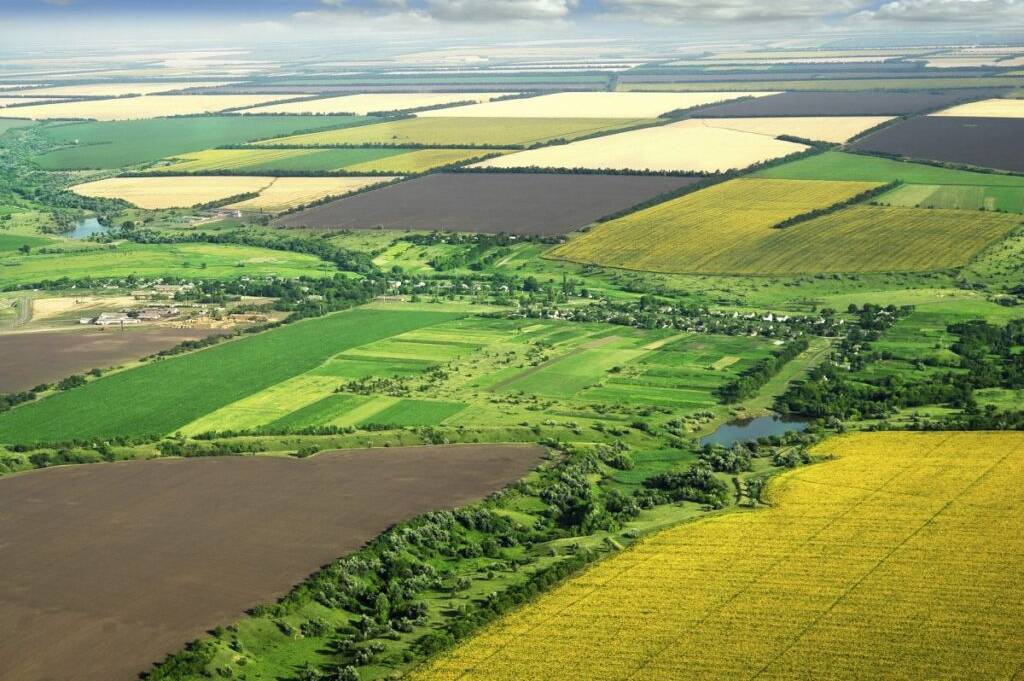 Жителька Вінниччини підробила рішення сесії, щоб привласнити земельні ділянки