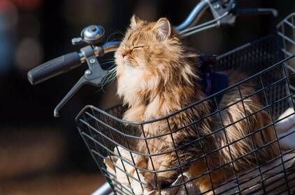 Тепло та мінлива хмарність: прогноз погоди у Вінниці на 3–4 липня